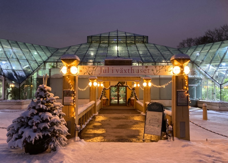 Julutställning i Edvard Andersons växthus. Foto: Bergianska trädgården